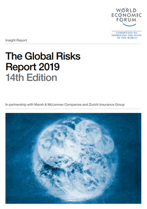 The Global Risks Report 2019